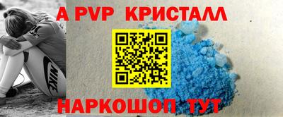 мет Кингисепп